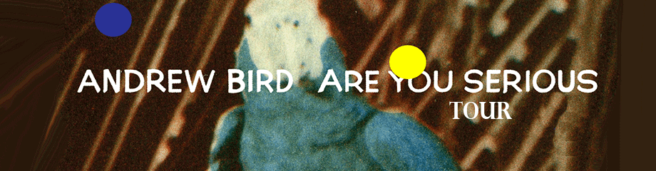 Andrew Bird